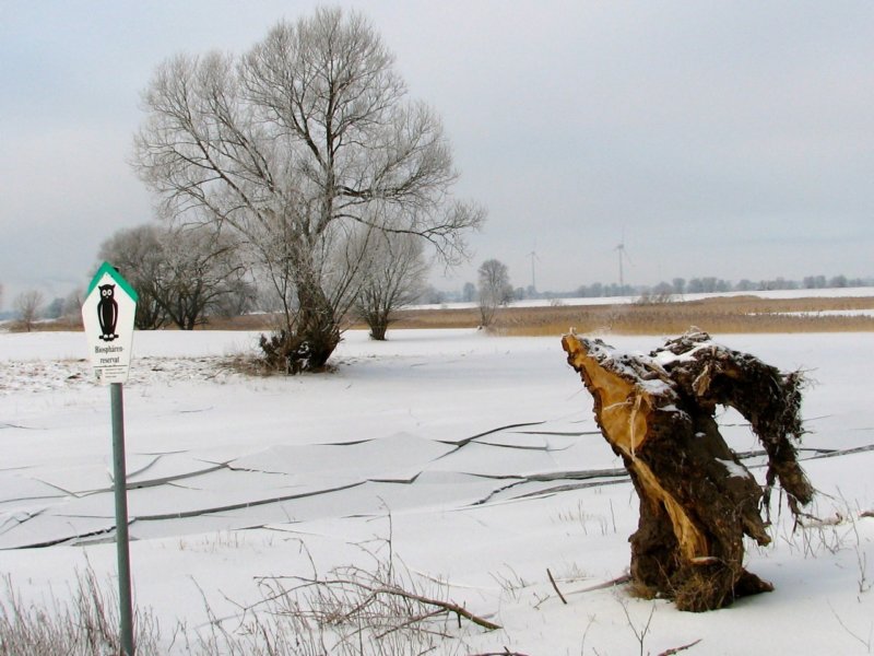 Winterwanderung 2012