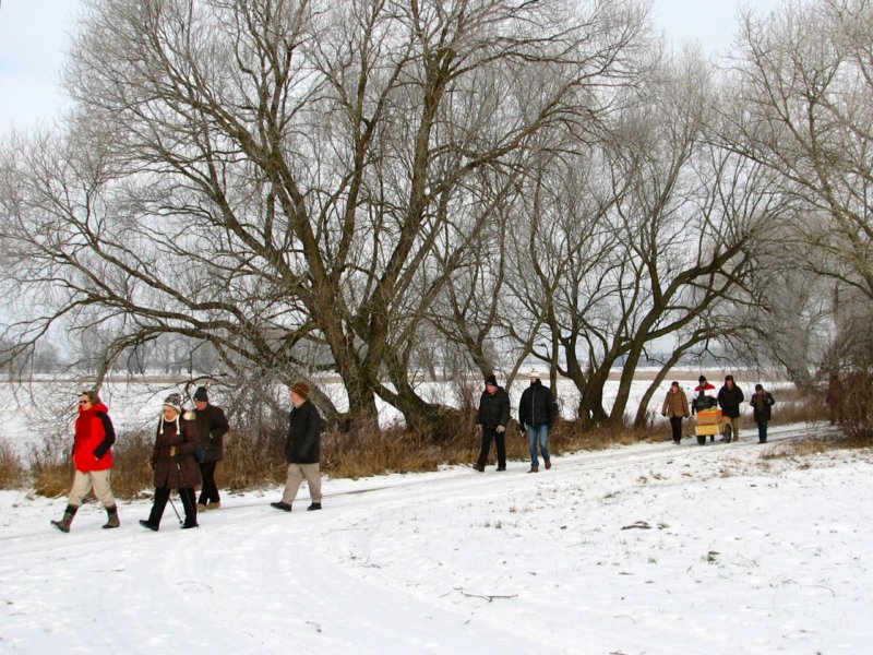 Winterwanderung 2012