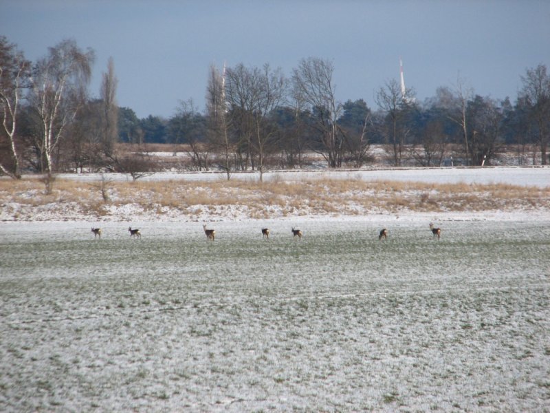 Winterwanderung 2012